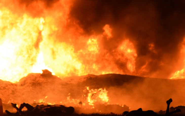 Li Rojhilatê Kurdistanê 50 hektar erdên çandiniyê sewitîn