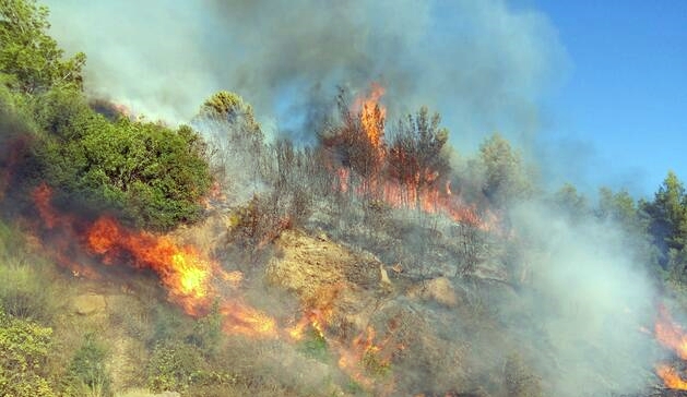 Li Stewrê pistî operasyonê agir bi zeviyan ket