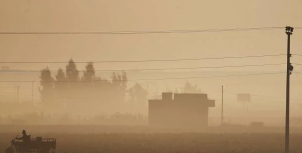 SOHR: Kobanê’de ekmek kitligi basladi!