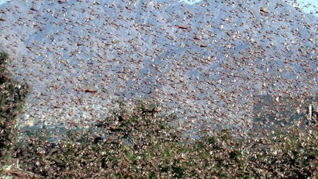 BM uyarmisti: Felaket Türkiye sinirina dayandi!