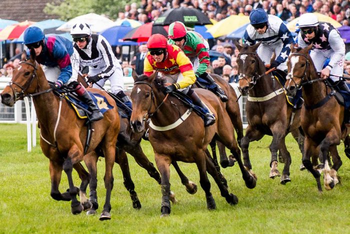 Suudi Arabistan dünyanin en pahali at yarisina hazirlaniyor