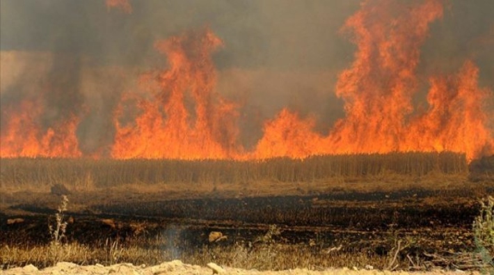 ISID, Kerkük ve Xanekin’de Kürtlerin tarlalarini yakti