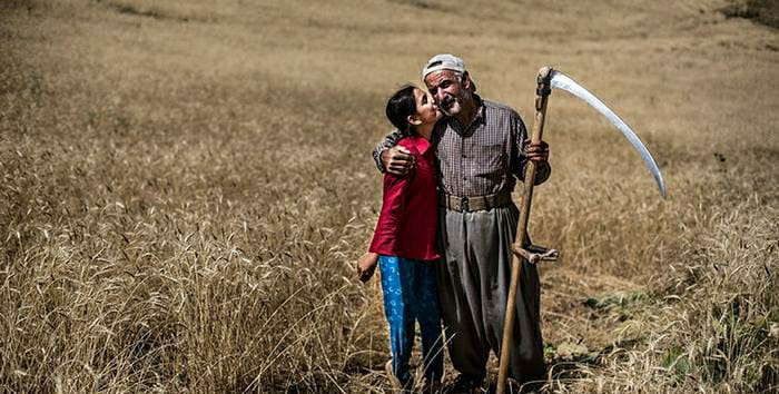 Kürdistan Bölgesi | Böcek ilaçlari çiftçilere ücretsiz verilecek!