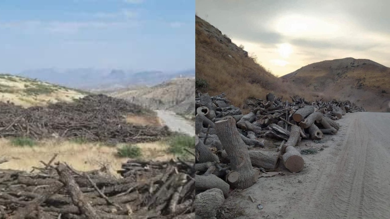 Duhok ve Sirnak Valiligi görüstü: Agaç kesimine karsi ortak karar!