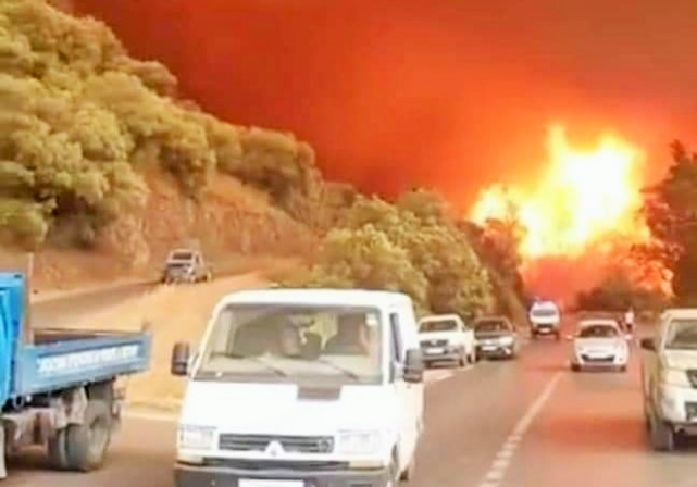O ülkedeki orman yanginlarinda 25 asker öldü!