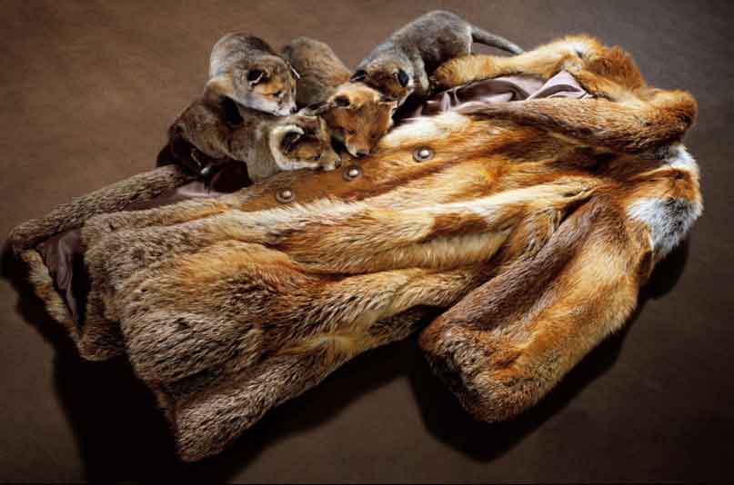 Moda sektöründe kürk kullanilmasini yasaklayan ilk ülke, Israil oldu!