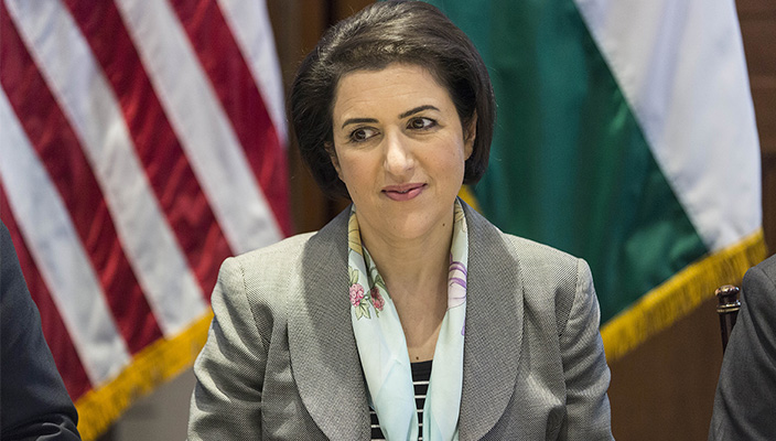 Kürdistan Temsilcisi, ABD’li bir grup senatörle görüstü