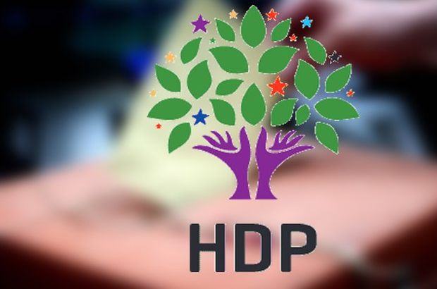 KONDA Genel Müdürü Agirdir: HDP yüzde 15'i geçebilir!