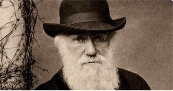 Charles Darwin'in 22 sene önce çalınan defterleri gizemli bir şekilde geri döndü