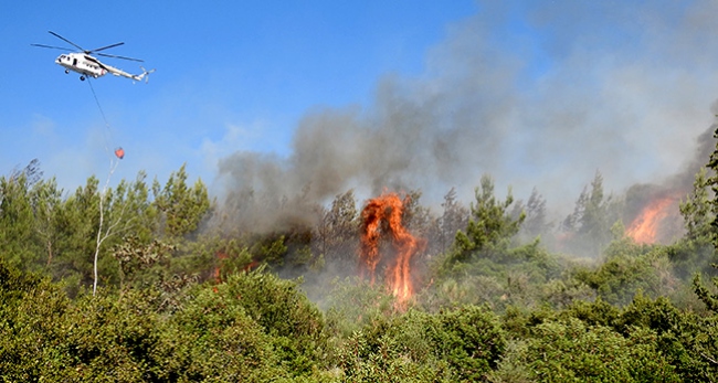 Istanbul'da orman yangini!
