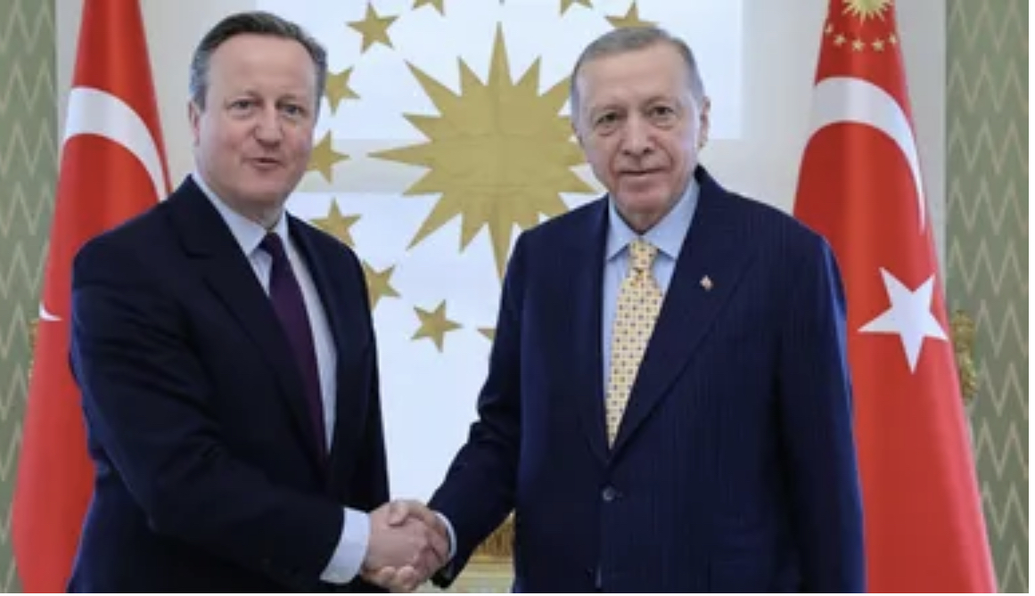Erdogan û David Cameron li Stenbolê civiyan