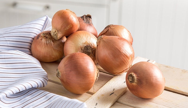 Sogana sakin bunu yapmayin