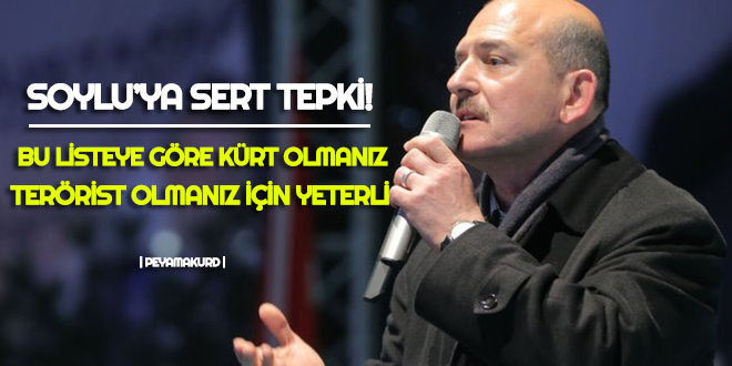 O isimden sert tepki: Bari direkt olarak Kürt deseydiniz!