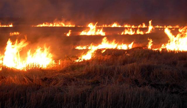 Kerkük’te yangin ve patlama: ISID’ten süpheleniyoruz