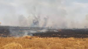 Kürtlerin ekinlerini yakiyorlar: Saldirilarin arkasinda ‘Onlar mi’ var?