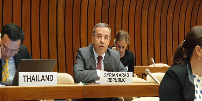 “Türkiye uyguladigi terörizme destek diplomasisini örtmek için insani konulari istismar ediyor”