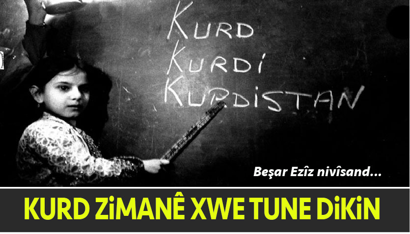 Li Bakur, Kurdî di bin metirsiyek mezin de ye