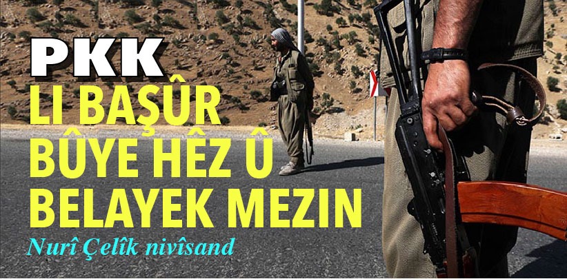 Qeyranên Basûr, yek serwerî, sê desthilatdarî