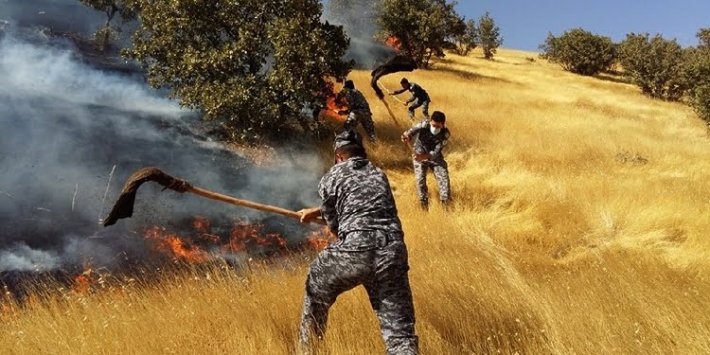 نزیكەی 600 دۆنم پووش و پاوان و داری سروشتی لە ماوەت سوتان