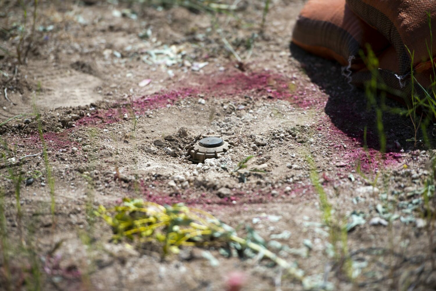 دەیان دۆنم زەوی لە سلێمانی لەمین پاک کرانەوە