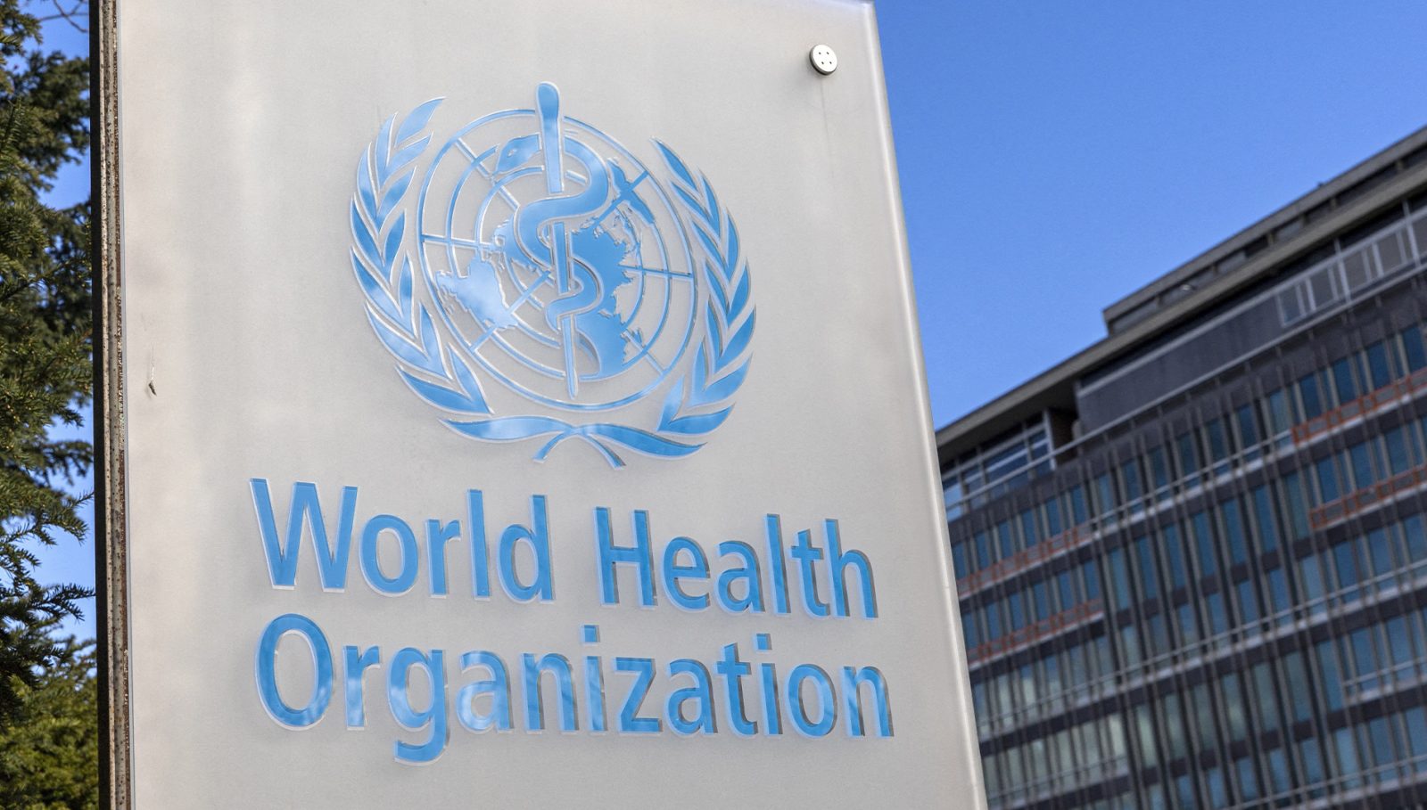 تەندروستیی جیهانی: ڤایرۆسی کۆرۆنای نوێ خۆی لەگەڵ مرۆڤدا دەگونجێنێت