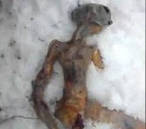 بۆ یەکەمین جار ; پەردەلادان لەسەر جەستەی بەردبووی مرۆڤە بێگانەکان لە پەرلەمانی مەکسیک