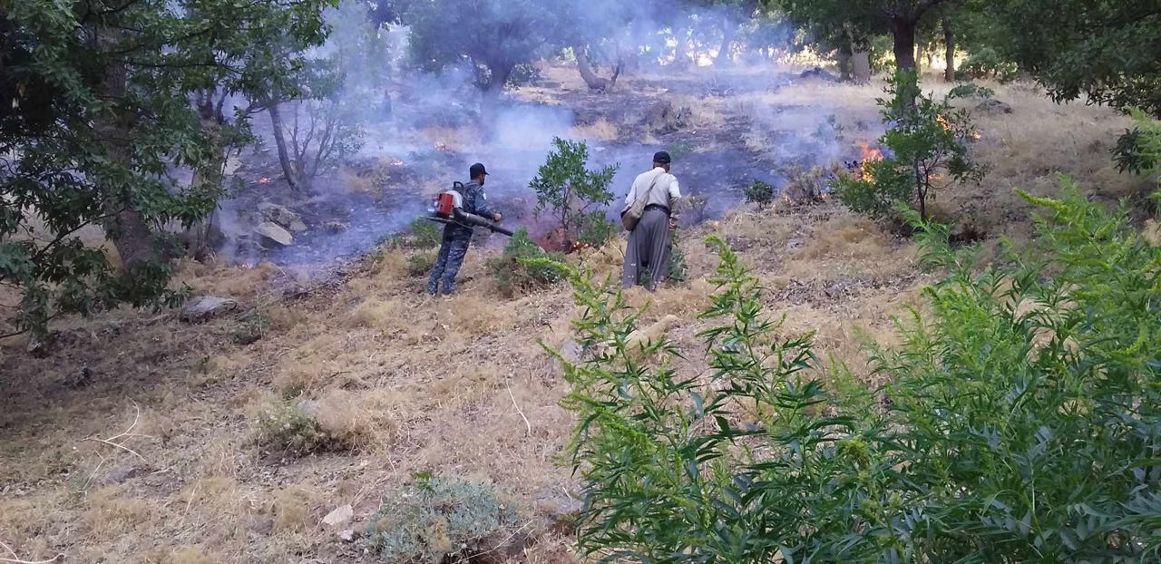 ئێران لە قەزای پێنجوێن 150 دۆنم پوش و پاوانی سووتاند قوربانی لێکەوتەوە