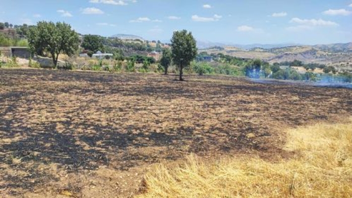 لەناحیەی سیتەك نزیكەی (١٥) دۆنم پوش و پاوان سووتا