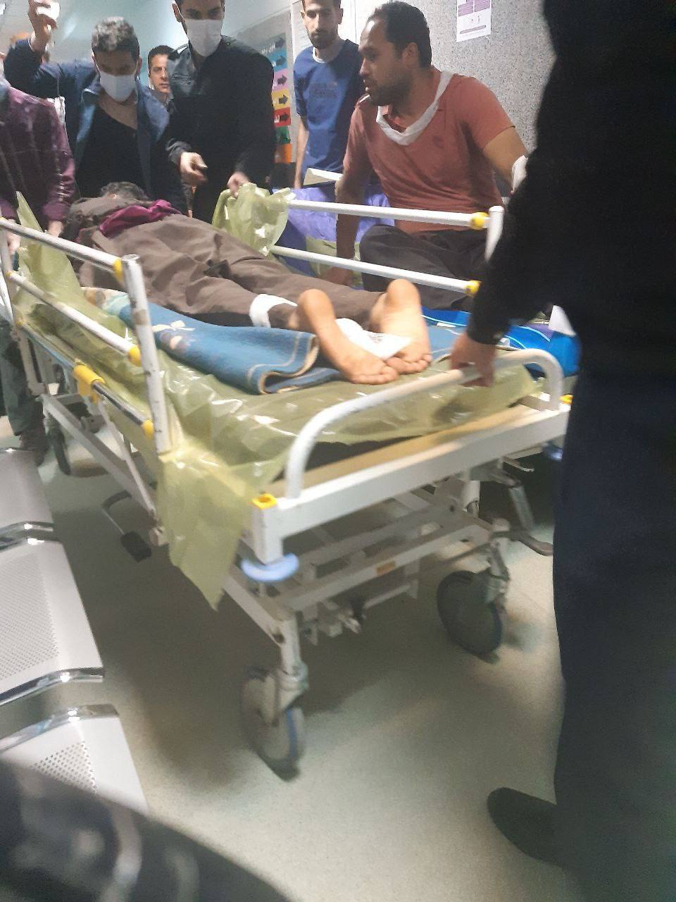 برینداربوونی کۆڵبەرێک لە سنووری کرماشان