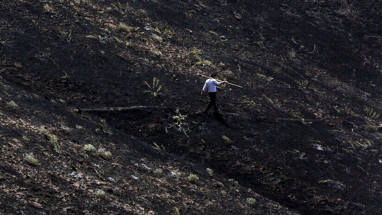 ٢٠ هەزار هێکتار لە دارستان و لەوەڕگەکانی "داڵاهۆ" سووتا