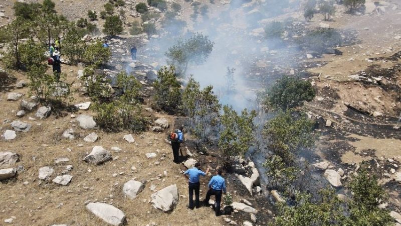 لە سنووری سلێمانی سەدان دۆنم پوش و پاوان سووتان