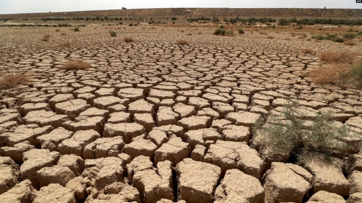 وتەبێژی وەزارەتی كشتوكاڵ: چەند ناوچەیەكی هەرێمی کوردستان مەترسی بیابانبوونی لەسەرە