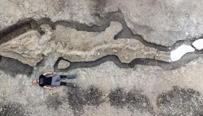 "ئەژدیهای ئاوی" کە تەمەنی ٧٢ ملیۆن ساڵە لە ژاپۆن دۆزرایەوە