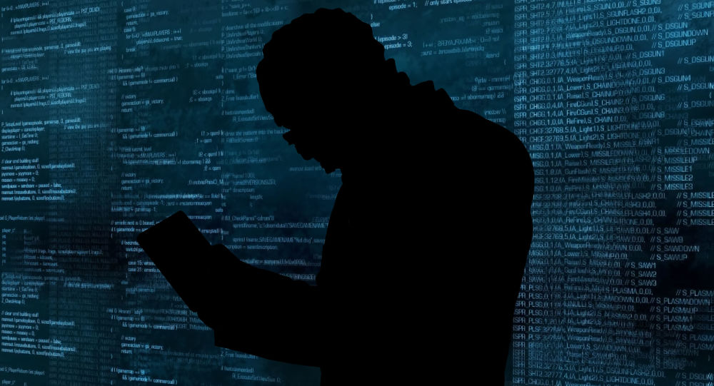 بەپەلە ...  گەنجێکی ٢٠ ساڵانی ئەڵمانی زۆربەی زانیاری بەرپرسە باڵاکانی ئەو ووڵاتەی دزیوە و هاکی کردوون