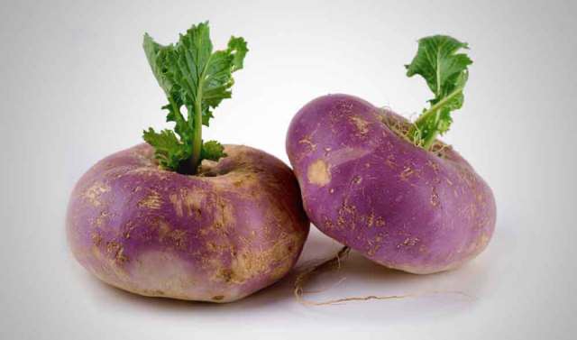 سودەکانی شێلم بۆ جەستەی مرۆڤ لە وەرزی زستان