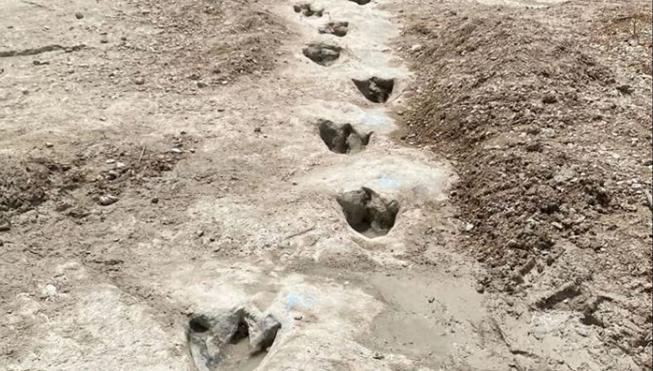 وشکەساڵی لە ئەمریکا شوێنپێی دایناسۆرێک دەردەخات کە تەمەنی ١١٣ ملیۆن ساڵە