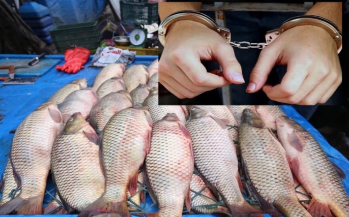 پۆلیسی گەرمیان چوار كەسی بەتۆمەتی فرۆشتنی ماسی خراپ دەستگیركرد