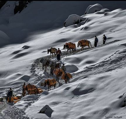 بریندار بوونی دوو کۆڵبەر لە سنوورەکانی پارێزگای کرماشان