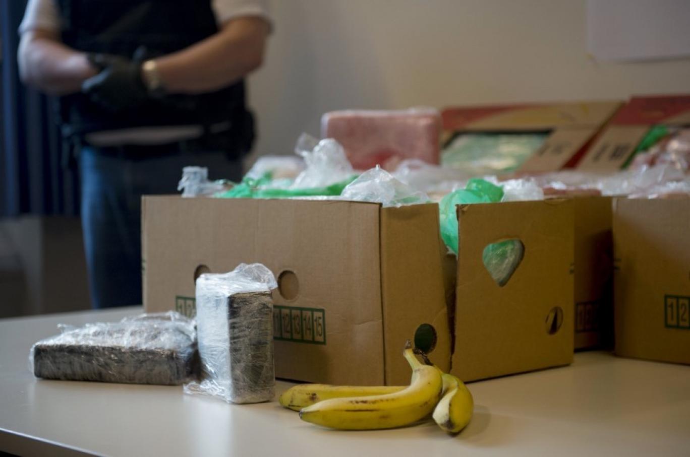 یەک تەن ماددەی هۆشبەری کۆکائین لە بارێکی مۆز دا لە لایەن پۆلیسی ئەم ووڵاتەوە دەدۆزرێتەوە