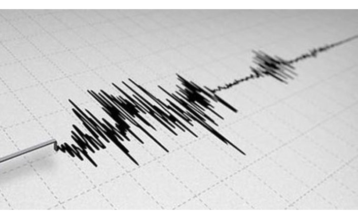 دوو بوومەلەرزە شاری وانی لە باکووری کوردستان هەژاند