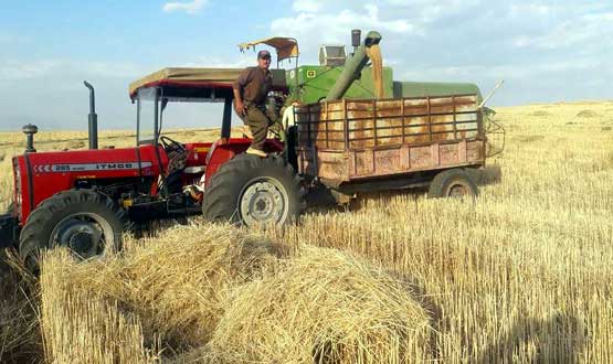 پێشوازی  لە بڕیاری قەدەغە کردنی گواستنەوەی گەنم دەکرێت