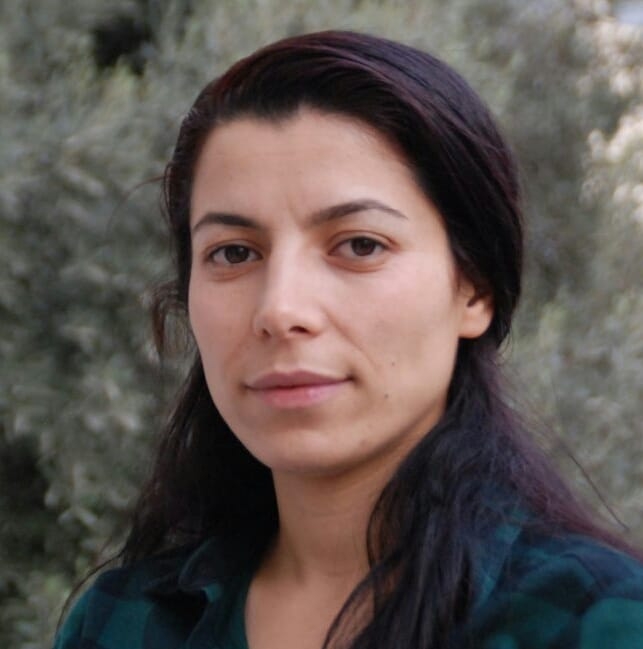 ئەندامێکی سەرکردایەتی پەکەکە لەلایەن هێزە ئەمنییەکانی ئێرانەوە دەستگیر کراوە