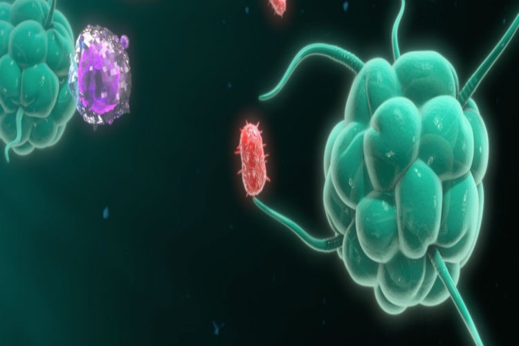 هەرزەکارێکی تەمەن ١٤ ساڵ خەڵاتێکی زانستی بەدەستهێنا بەهۆی داهێنانی سابوونێک بۆ بەرەنگاربوونەوەی شێرپەنجەی پێست