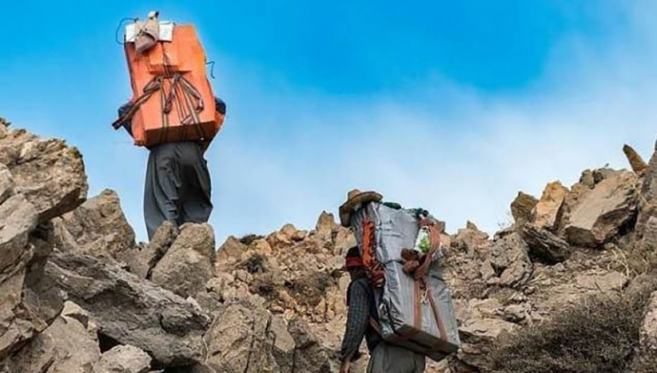 پێنج کۆڵبەر لە سنووری سەقز بریندار کران