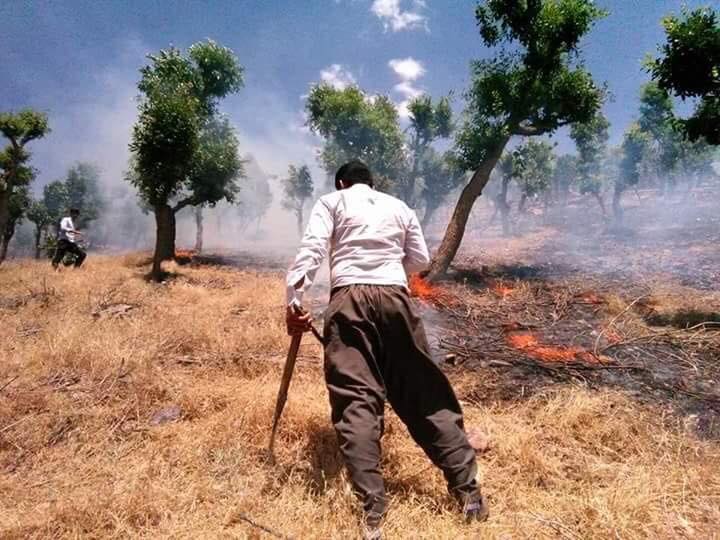بەپەلە ... بە هۆی بۆردومانەکانی دوێنێ تورکیا ڕووبەرێکی گەورەی دارستان لە سەیران و خەلیفان سووتان