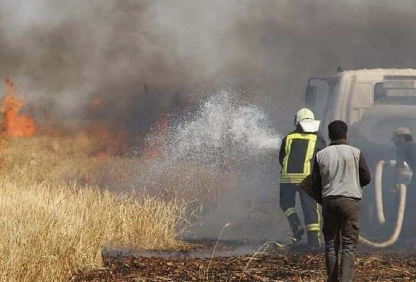 داعش لە کەرکووک بەروبوومی کشتوکاڵی جووتیارانی کوردی سووتاند