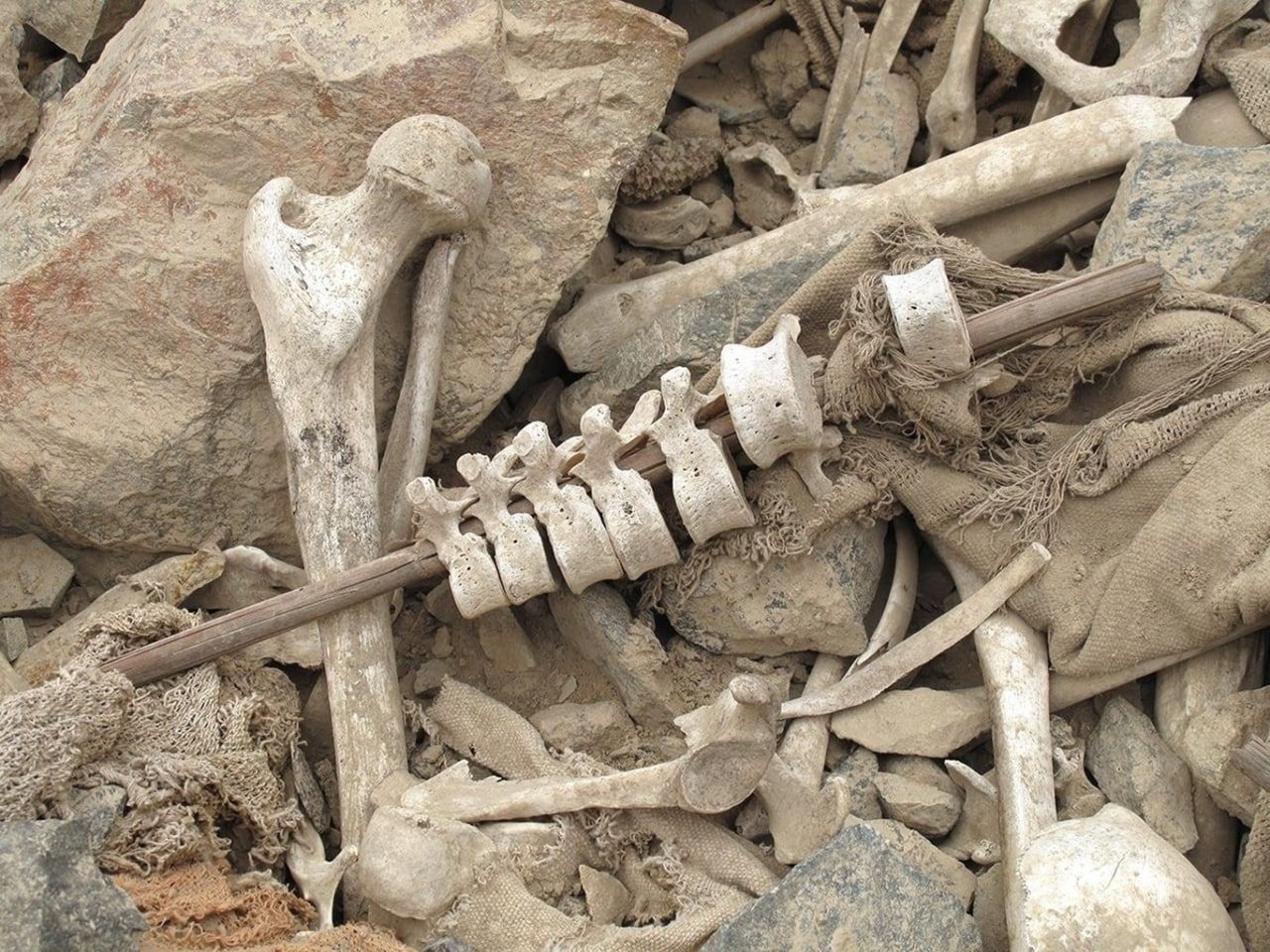 مەترسیدارترین دۆزینەوەی ساڵی ٢٠٢٢ " ئێسکی لە شیش کراوی مرۆڤ "