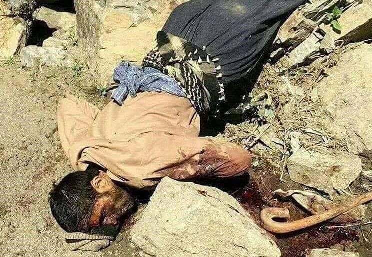 بەپەلە    ...    کۆڵبەرێک بە دەستی هێزە چەکدارەکانی ڕژیمی ئێران لە بەرزاییەکانەوە فڕێ دەدرێتە خوارەوە