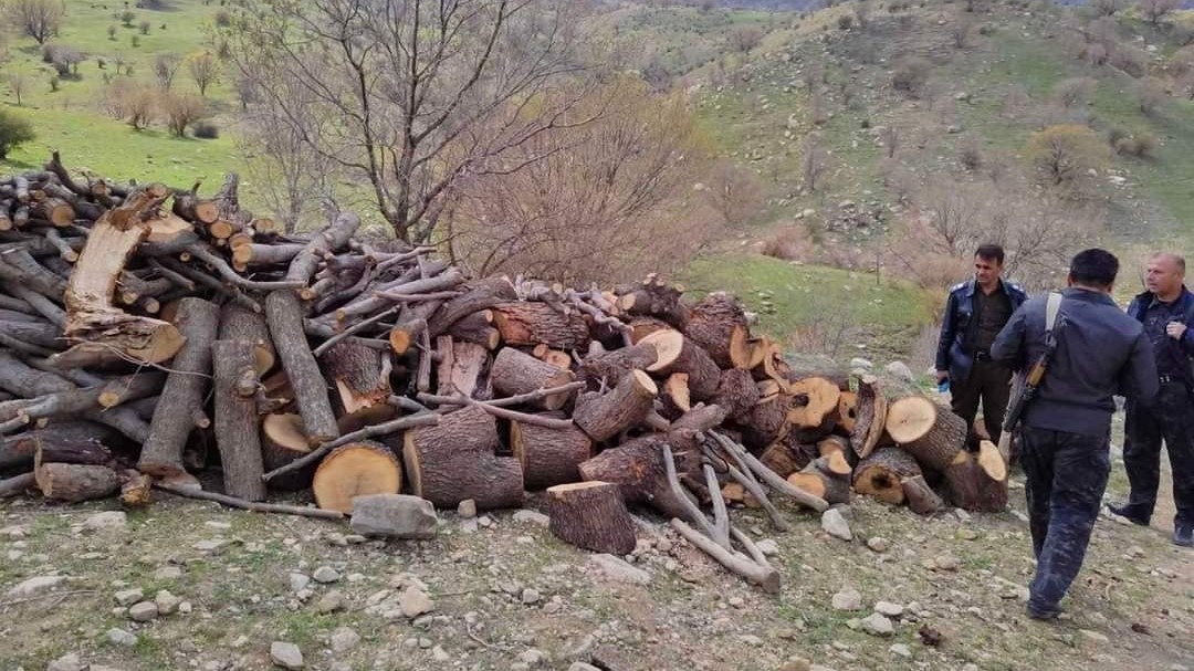 لە دەربەندیخان دوو کەس بە تۆمەتی بڕینەوەی دار دەستگیرکران