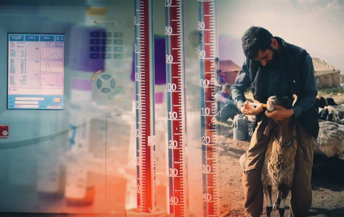 پارێزگای هەولێر لەبارەی نەخۆشی "تای خوێنبەربوون" ڕاگەیەندراوێک بڵاو دەکاتەوە